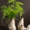 Tomtar trio natur - Bild 2