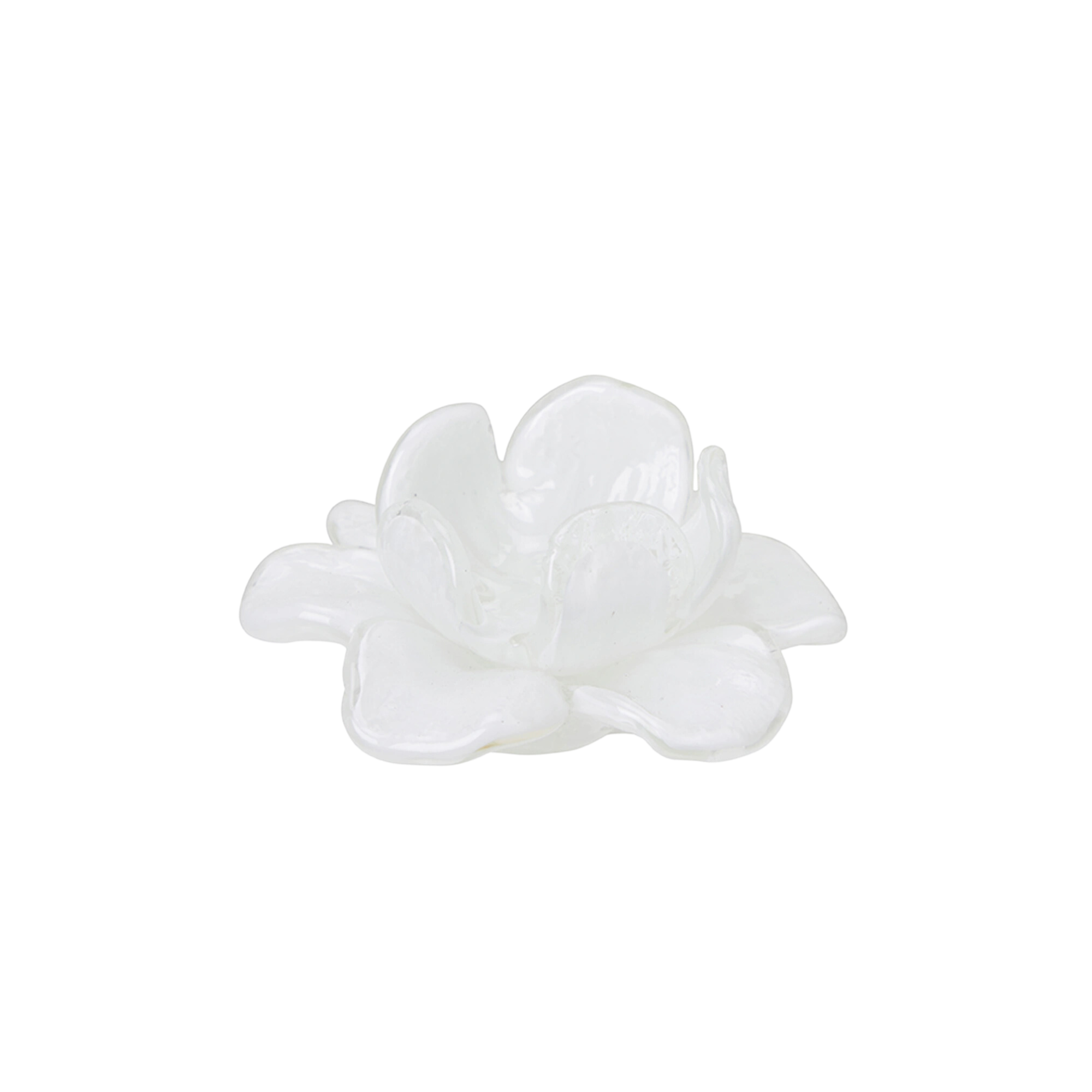Flor Dekorationsblomma Glas vit