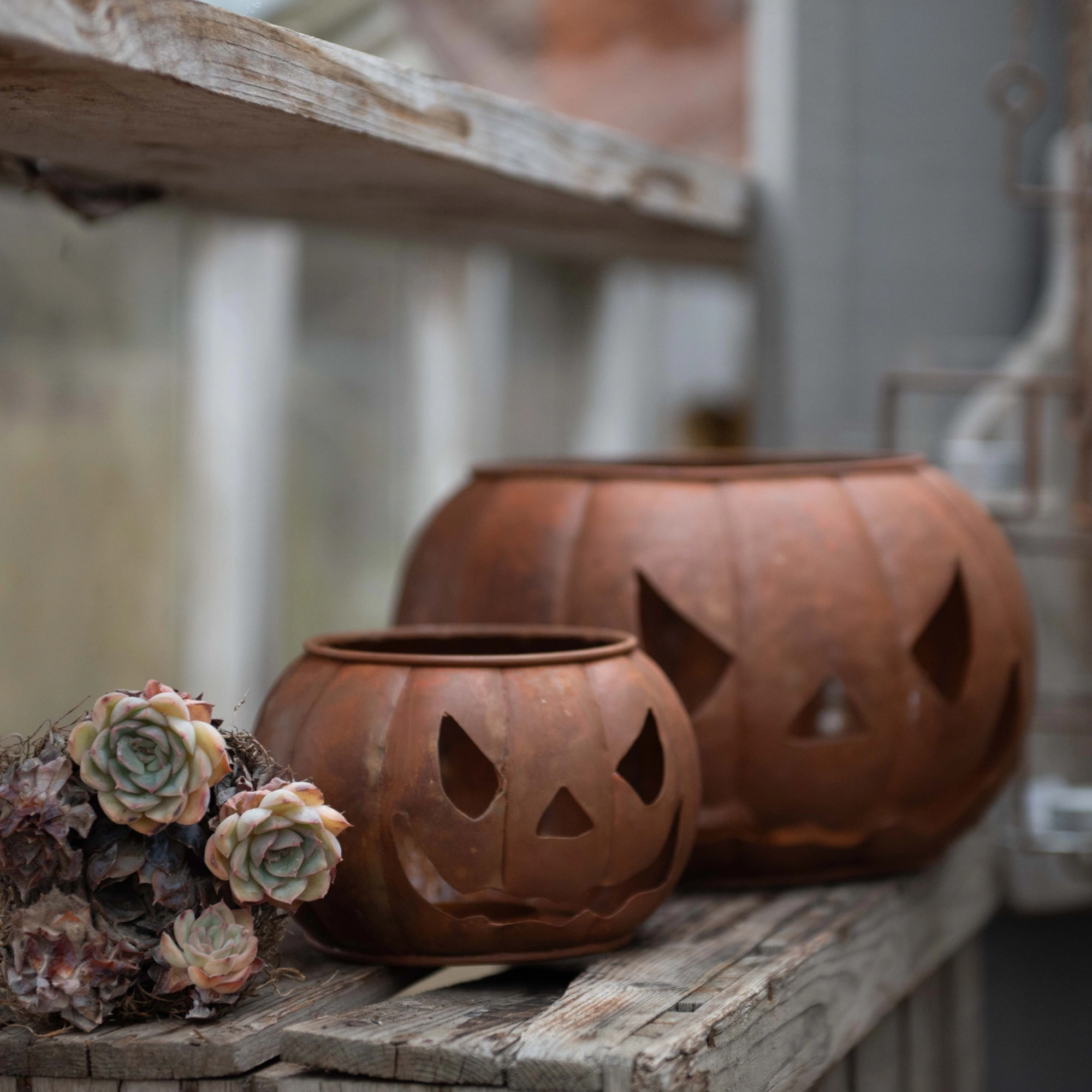 Pumpa Marschall 2-pack - Bild 2