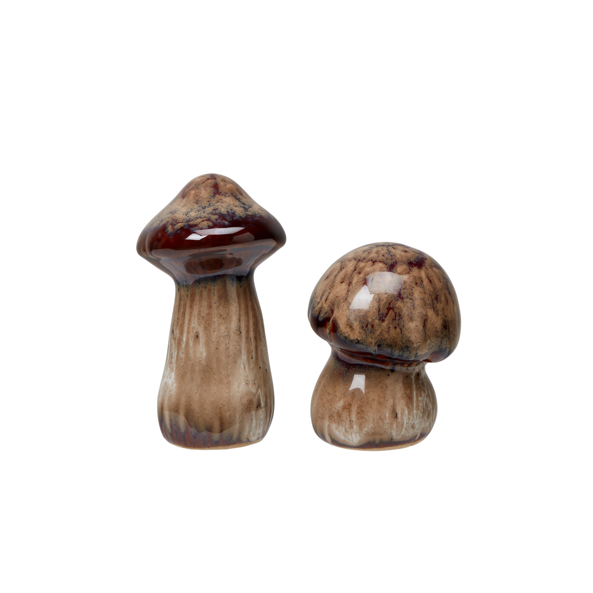 Svampar Brunmelerad 2-pack